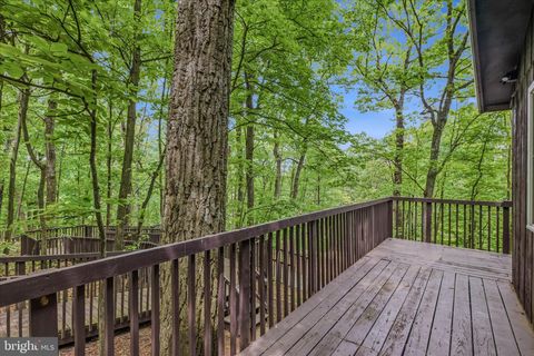 Tiny photo for 98 Ore Trail, BERKELEY SPRINGS, WV 25411 (MLS # WVMO2007630)