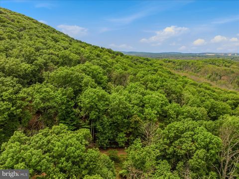 Tiny photo for 98 Ore Trail, BERKELEY SPRINGS, WV 25411 (MLS # WVMO2007630)