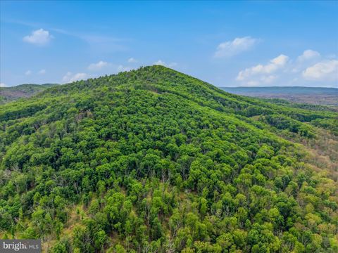 Tiny photo for 98 Ore Trail, BERKELEY SPRINGS, WV 25411 (MLS # WVMO2007630)