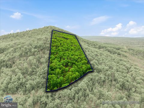 Tiny photo for 98 Ore Trail, BERKELEY SPRINGS, WV 25411 (MLS # WVMO2007630)