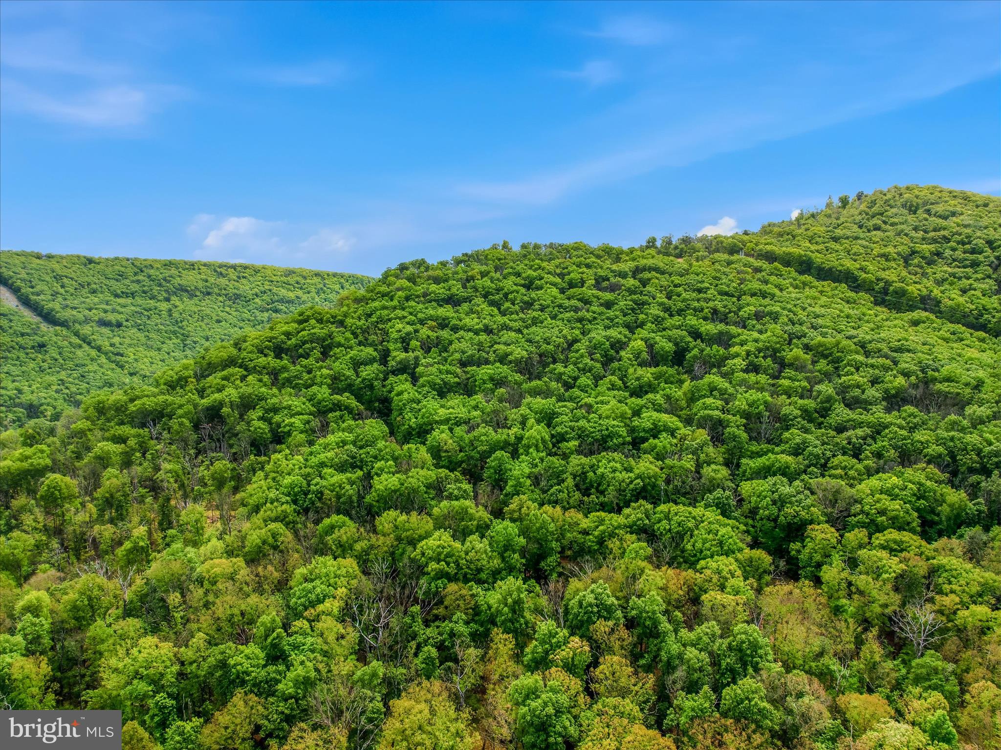 SPRUCE PINE HOLLOW - Residential