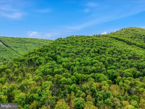 Tiny photo for 98 Ore Trail, BERKELEY SPRINGS, WV 25411 (MLS # WVMO2007630)