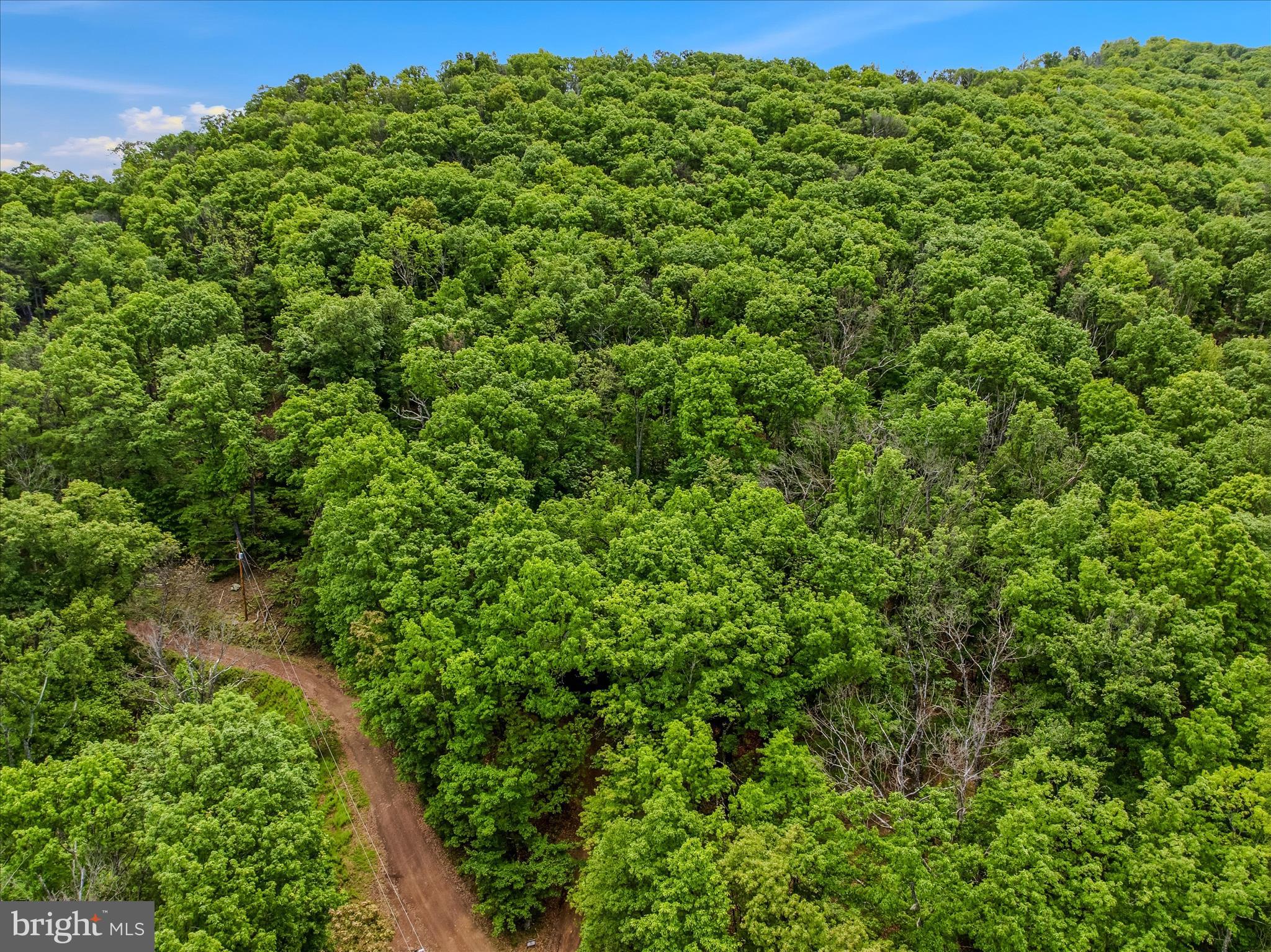 SPRUCE PINE HOLLOW - Residential