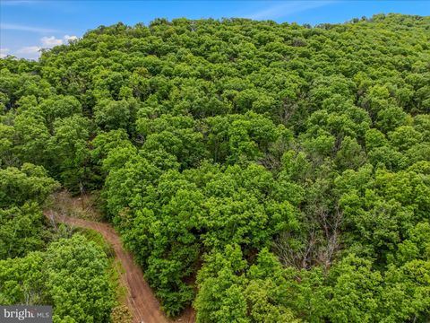 Tiny photo for 98 Ore Trail, BERKELEY SPRINGS, WV 25411 (MLS # WVMO2007630)