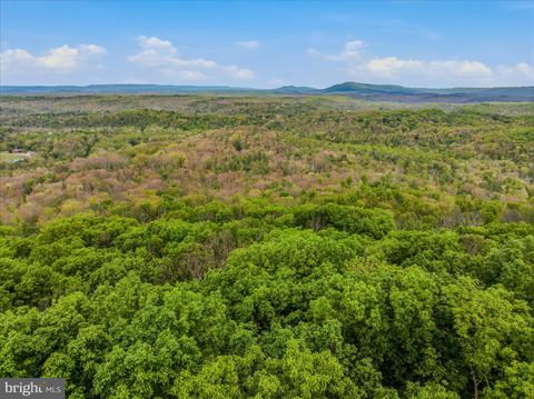 Tiny photo for 98 Ore Trail, BERKELEY SPRINGS, WV 25411 (MLS # WVMO2007630)