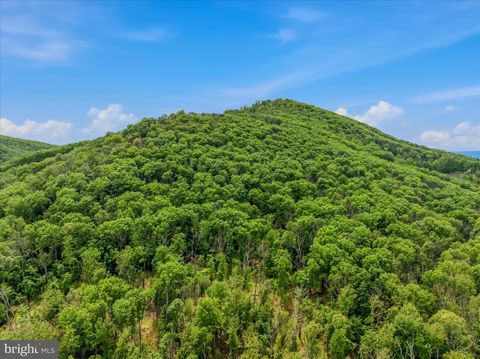 Tiny photo for 98 Ore Trail, BERKELEY SPRINGS, WV 25411 (MLS # WVMO2007630)