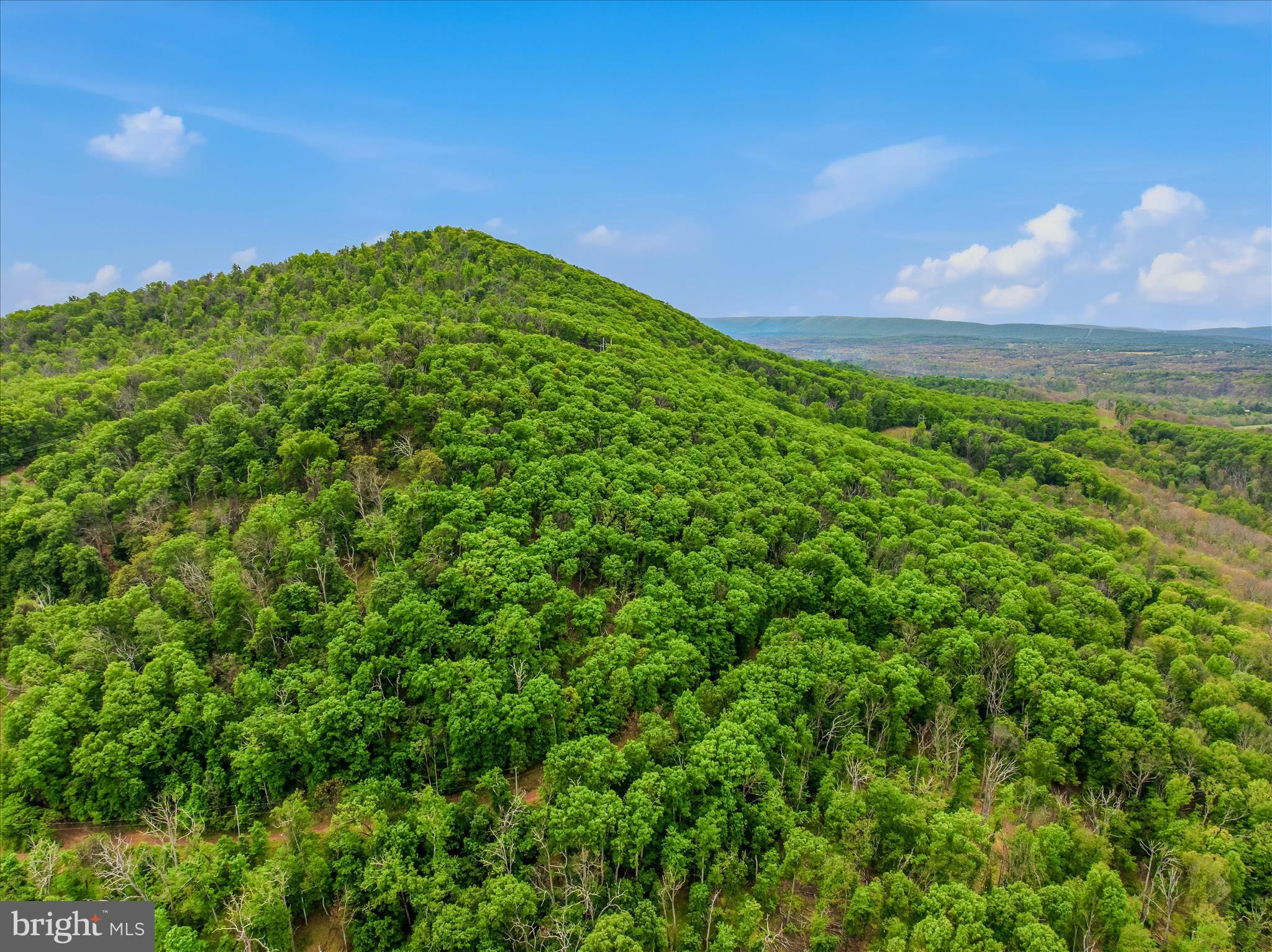 SPRUCE PINE HOLLOW - Residential