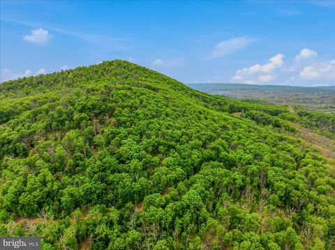 Tiny photo for 98 Ore Trail, BERKELEY SPRINGS, WV 25411 (MLS # WVMO2007630)