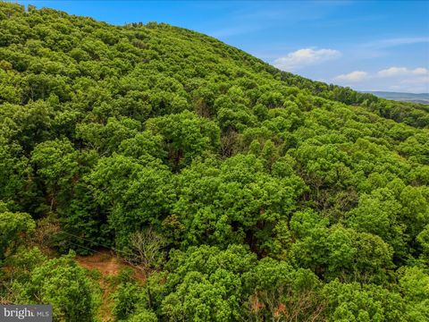 Tiny photo for 98 Ore Trail, BERKELEY SPRINGS, WV 25411 (MLS # WVMO2007630)