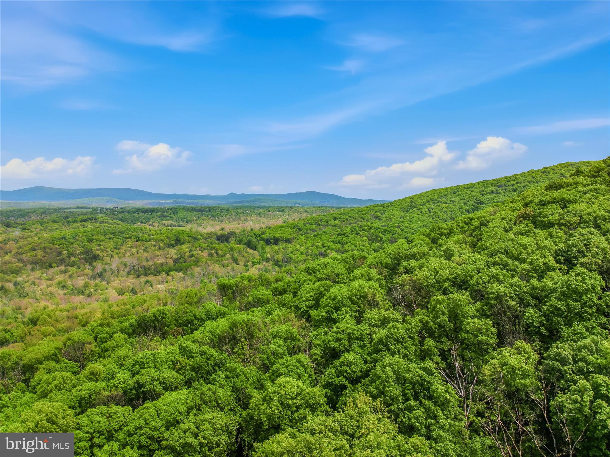 SPRUCE PINE HOLLOW - Residential