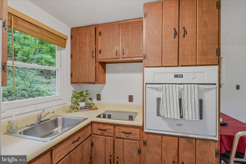 Tiny photo for 98 Ore Trail, BERKELEY SPRINGS, WV 25411 (MLS # WVMO2007630)
