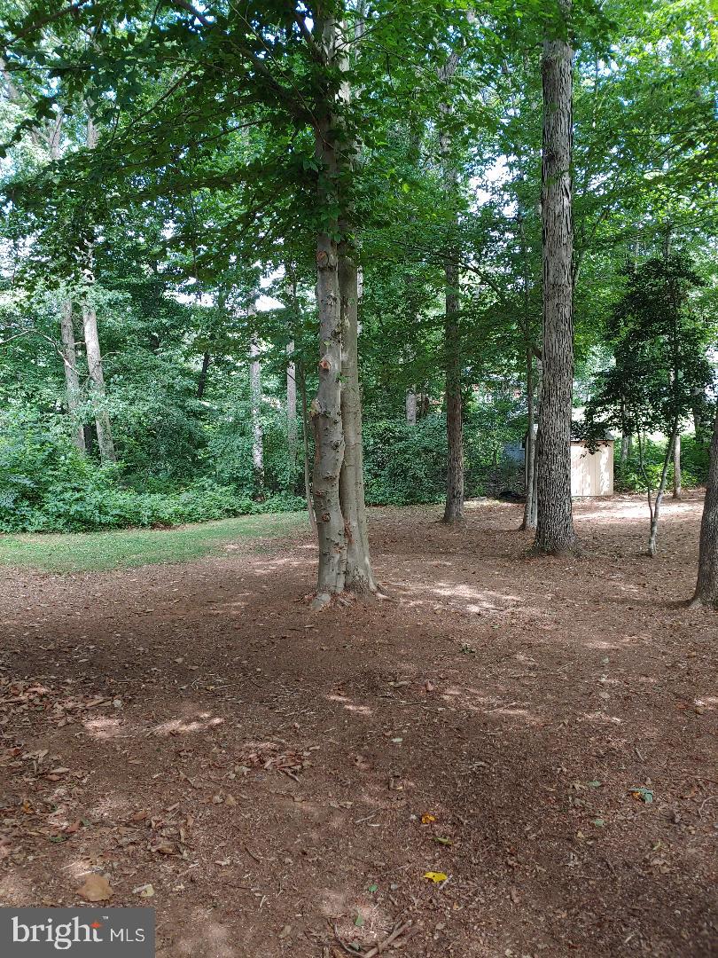 LAKE ARROWHEAD - Residential