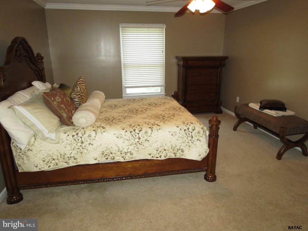 TRI HILL - Residential