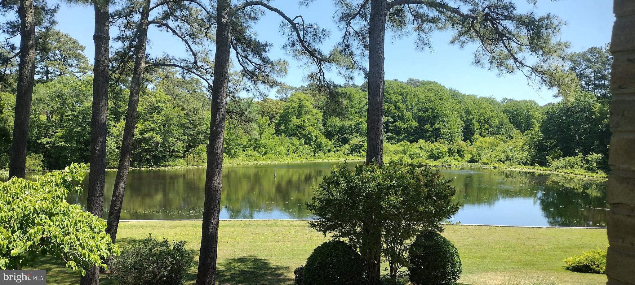 CANAL WOODS III - Residential