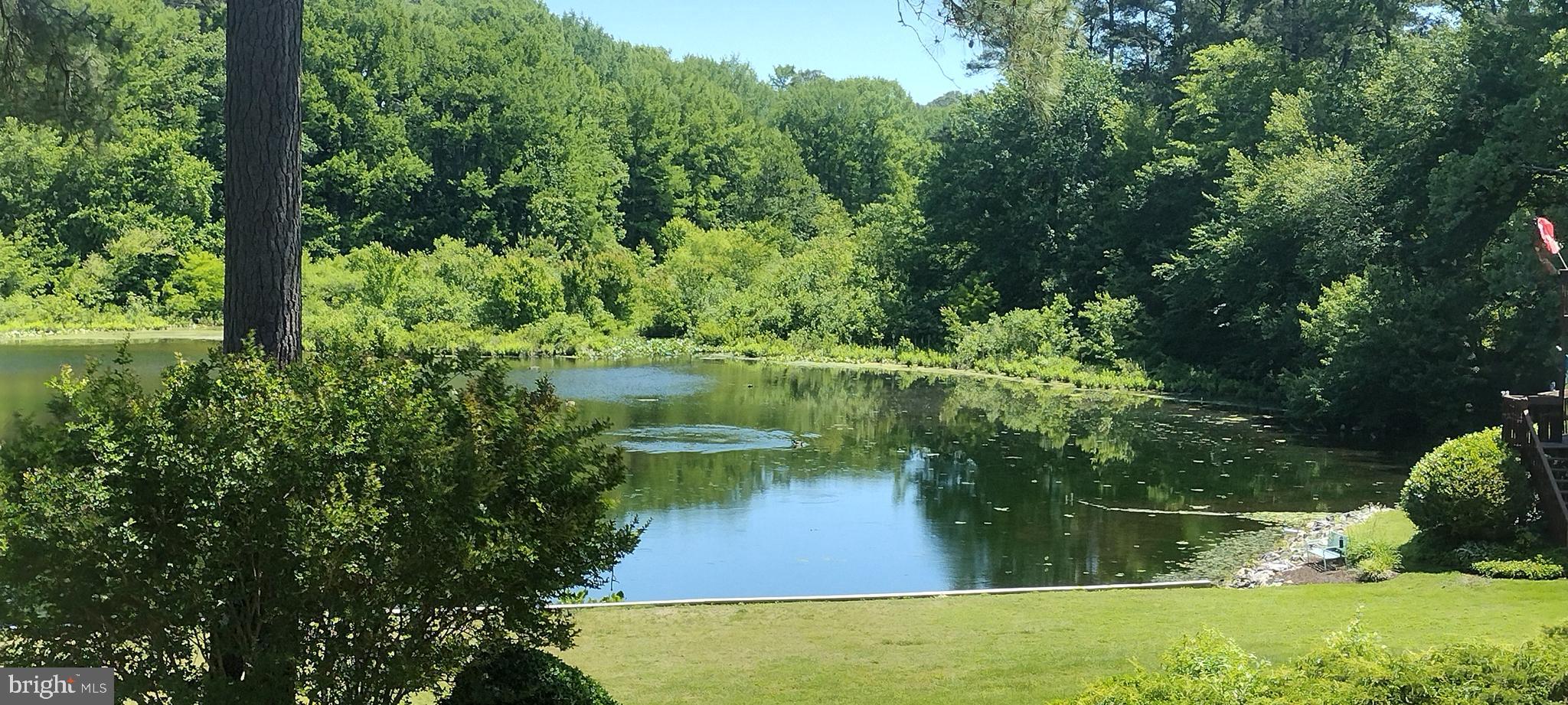 CANAL WOODS III - Residential