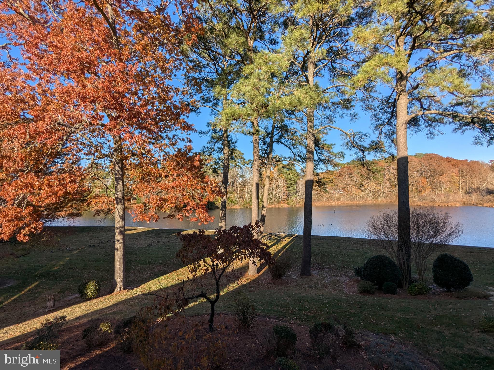 227 CANAL PARK DRIVE 205