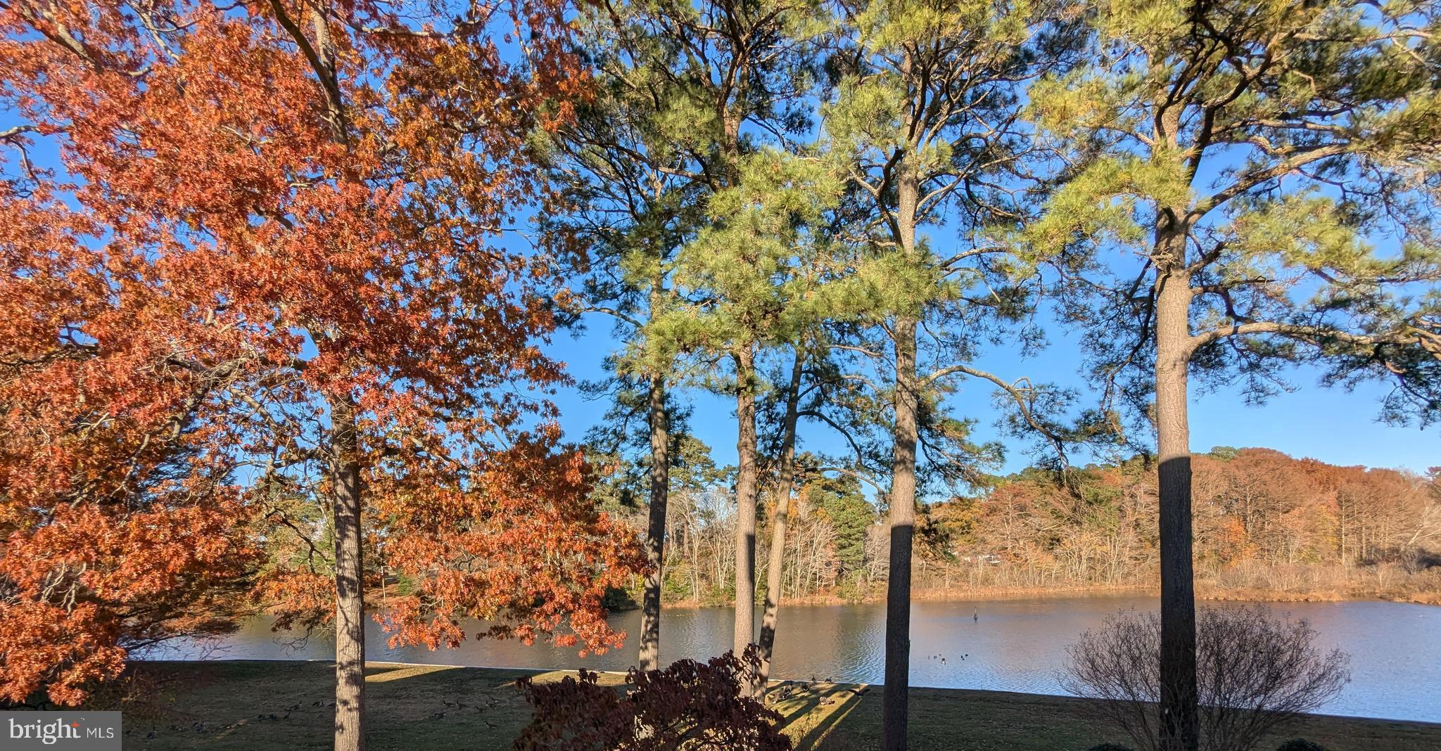 CANAL WOODS III - Residential