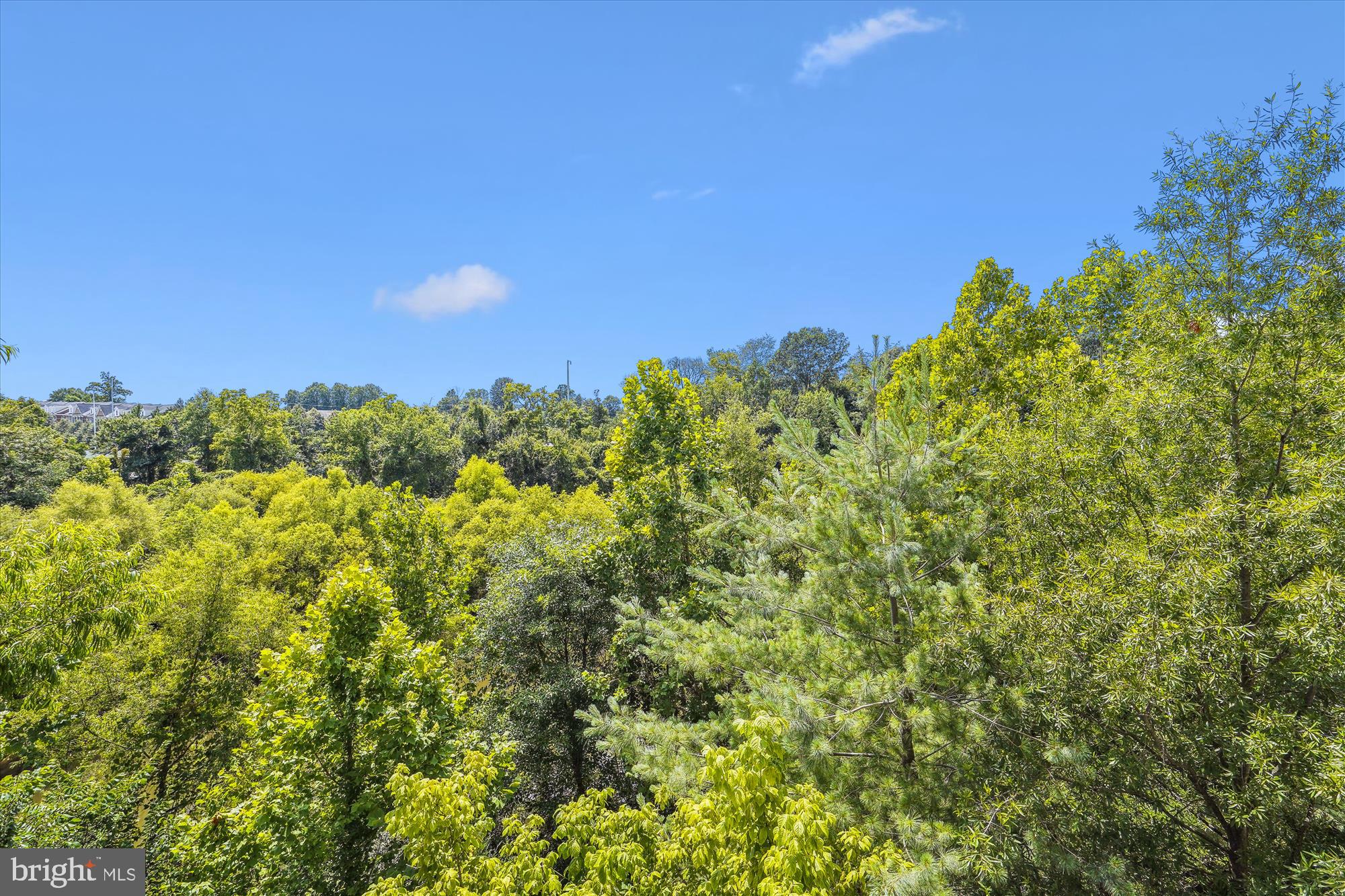 FAIRFAX RIDGE CONDOS - Residential Lease