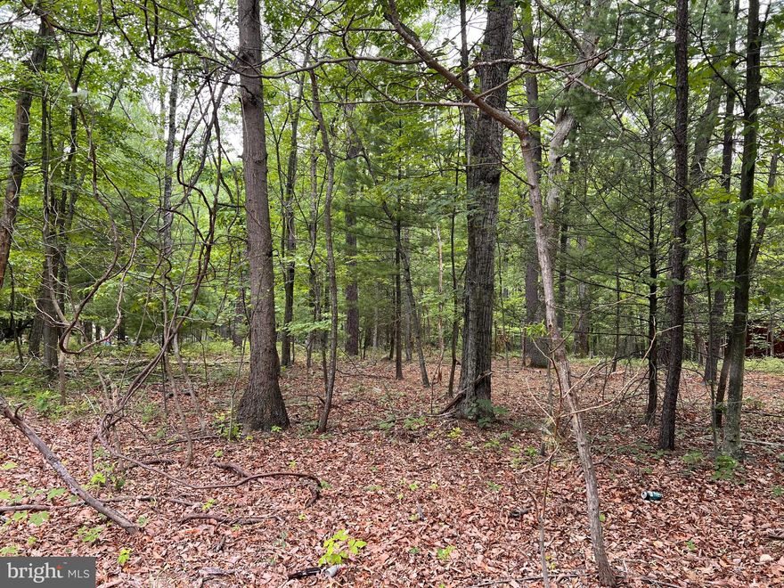 Welcome to your 1.78-acre oasis on Mountain Lake Road, ready for you to build your dream home or cozy little cabin in the woods!  This beautifully wooded and level lot is just waiting for you to make it your own.   Close to Route 9 and surrounding thoroughfares and industry but seemingly far away from the hustle and bustle.  BONUS: Lake access at Sleepy Hollow is included!  This is one you'll have to see to appreciate.  Call to schedule your appointment today!