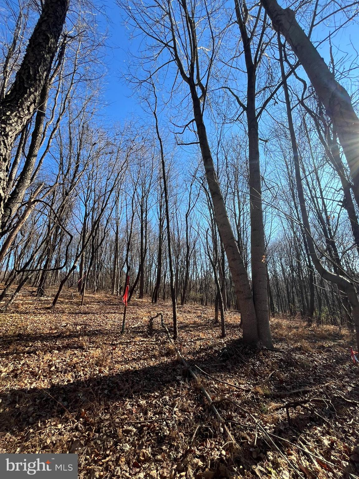 Lot 4 WOODVILLE RD RIDGEWAY