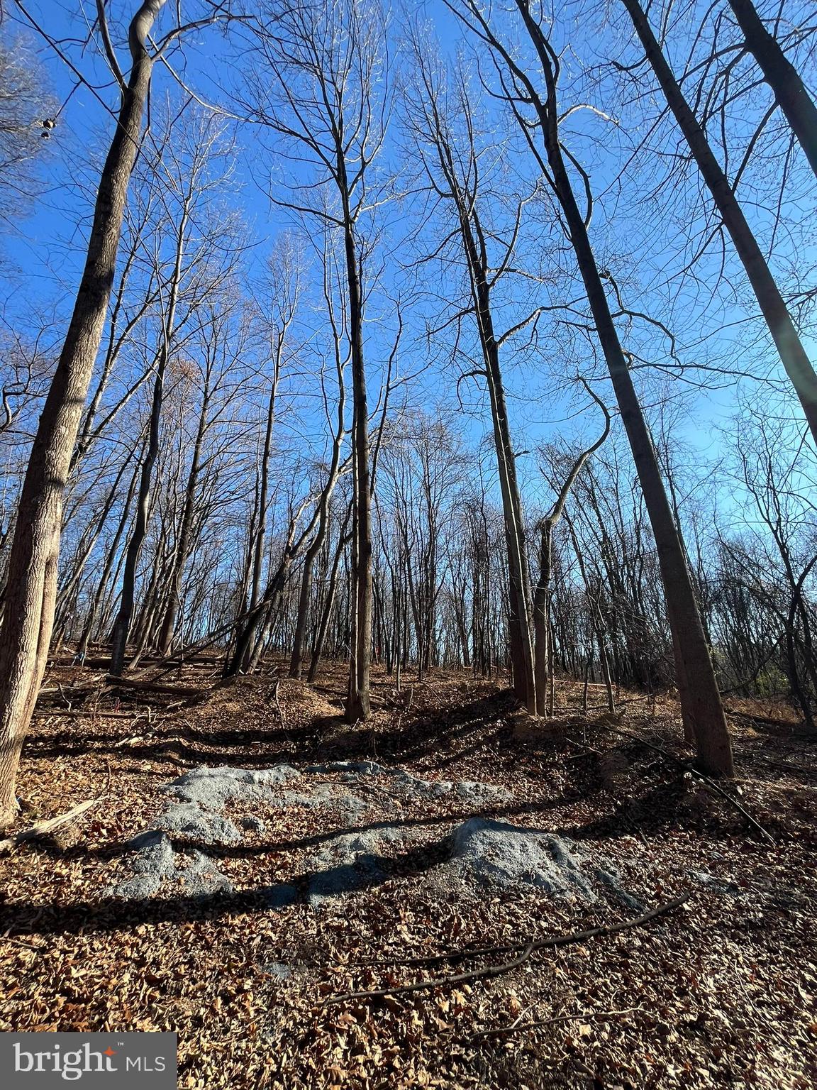 Lot 4 WOODVILLE RD RIDGEWAY