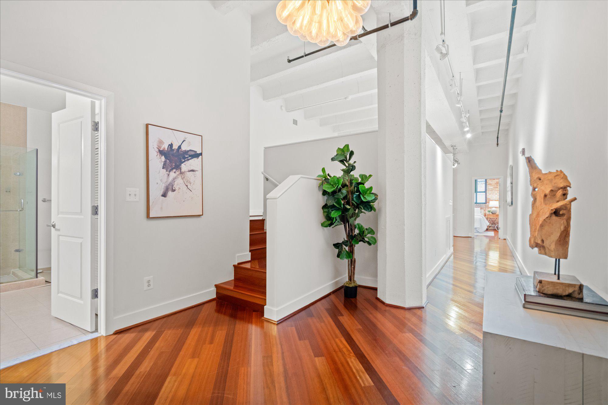 1701 KALORAMA ROAD NW 207