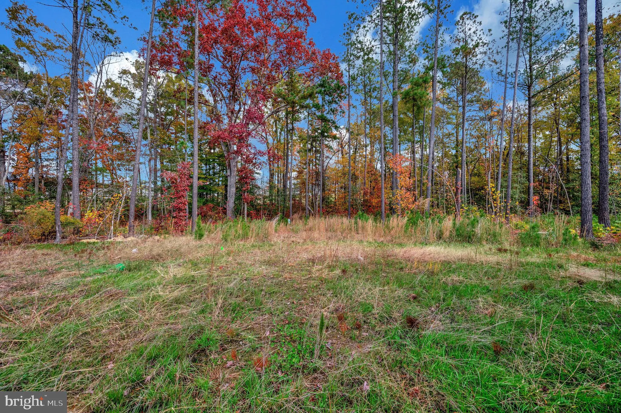 Ruther Glen, Virginia 22546, United States, 3 Bedrooms Bedrooms, ,3 BathroomsBathrooms,Residential,Active,234284