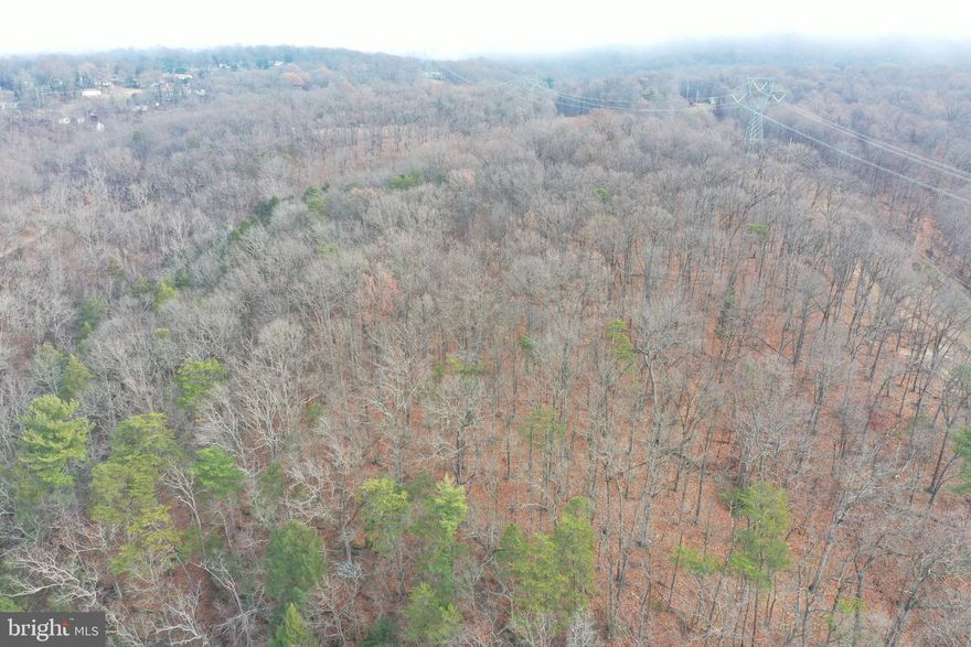 Price Reduction: This approximate 10 acre secluded parcel is located in Harper's Ferry in Jefferson County is being sold in its' entirety.  The 10 acres can be subdivided by potential builders or investors looking to turn this area into a community development.  There are multiple potential PERC areas according to the sellers-see plat within the pictures..  There is a mobile home on the property that currently is month to month and is aware the property owners are selling.  The sellers are also making buyers aware that the sale will be a part of a 1031 real estate Tax Exchange.