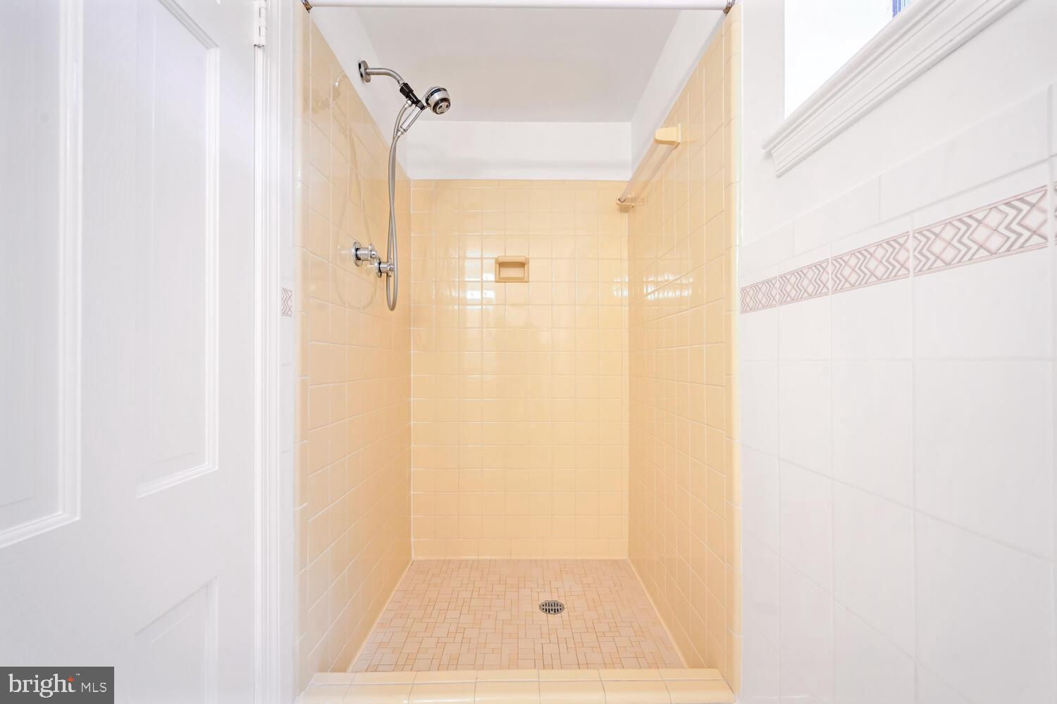 CHEVY CHASE VIEW - Residential