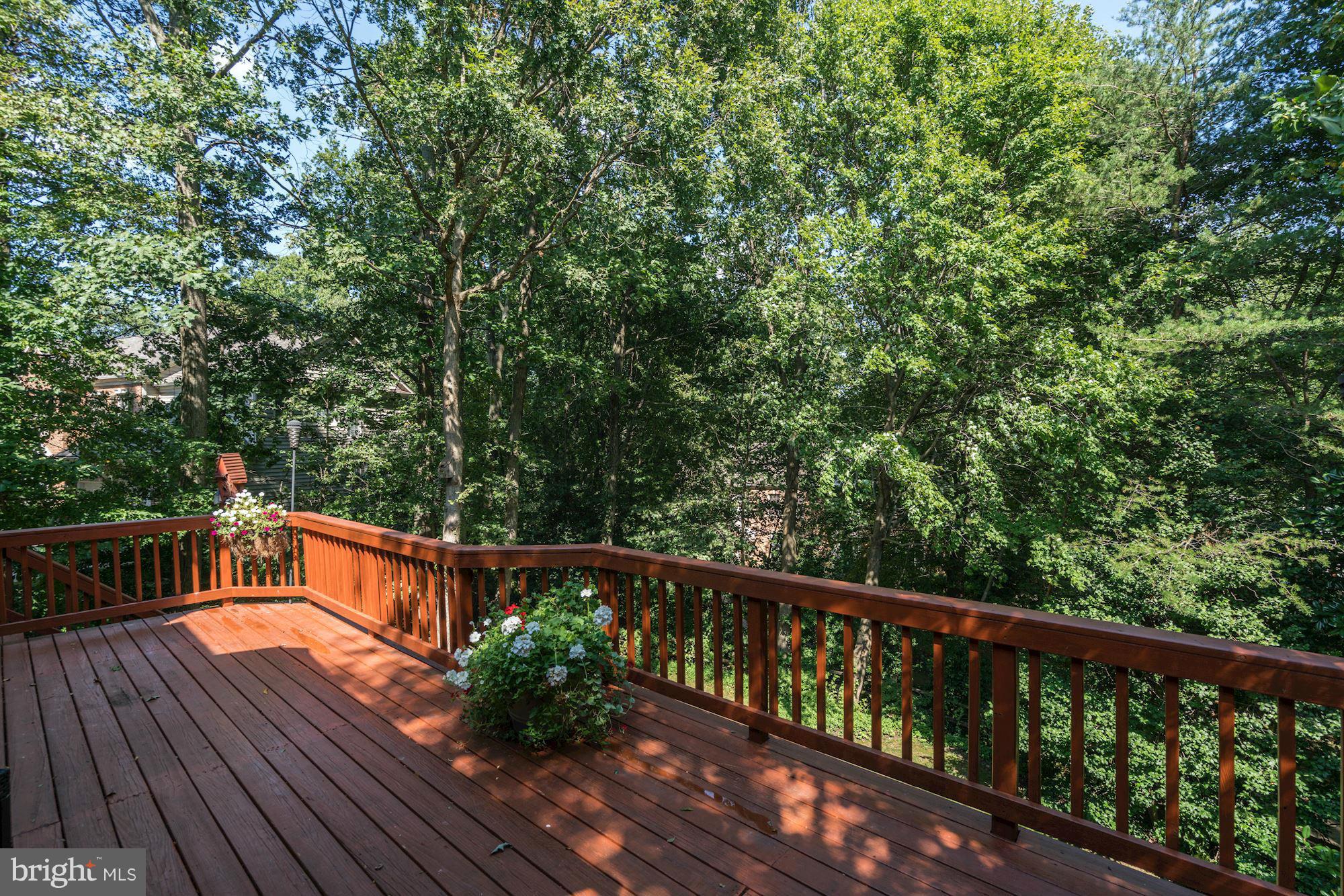 CHAMPION LAKE - Residential