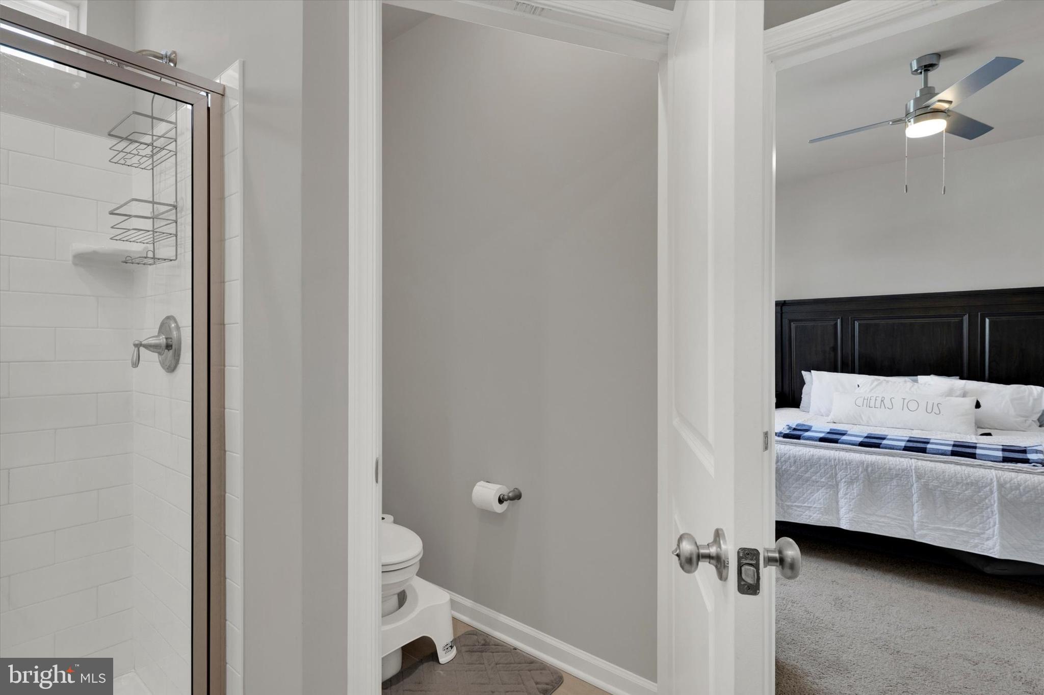 STEELPOINTE - Residential