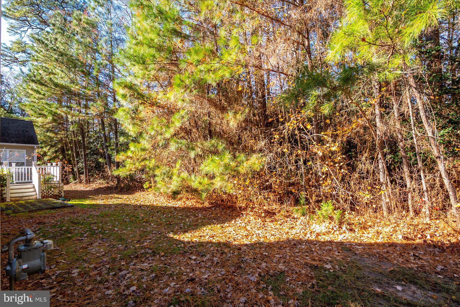 OCEAN PINES - THE PARKE - Residential