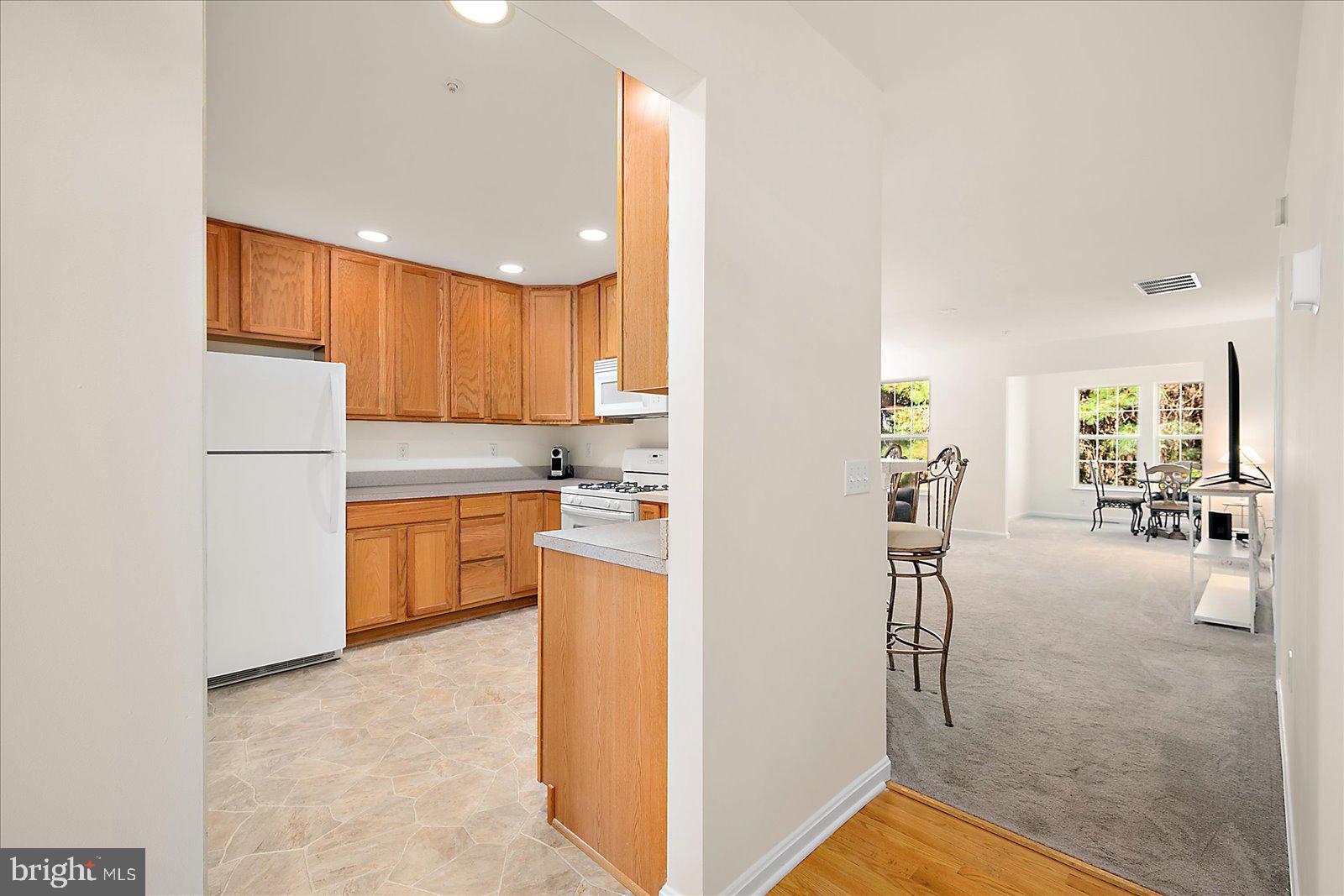 OCEAN PINES - THE PARKE - Residential