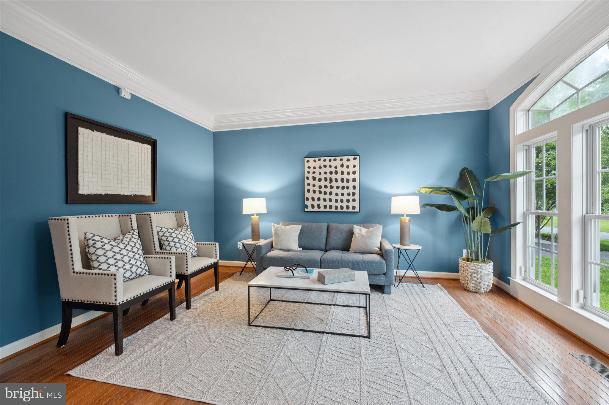 22405 BELLE TERRA DRIVE