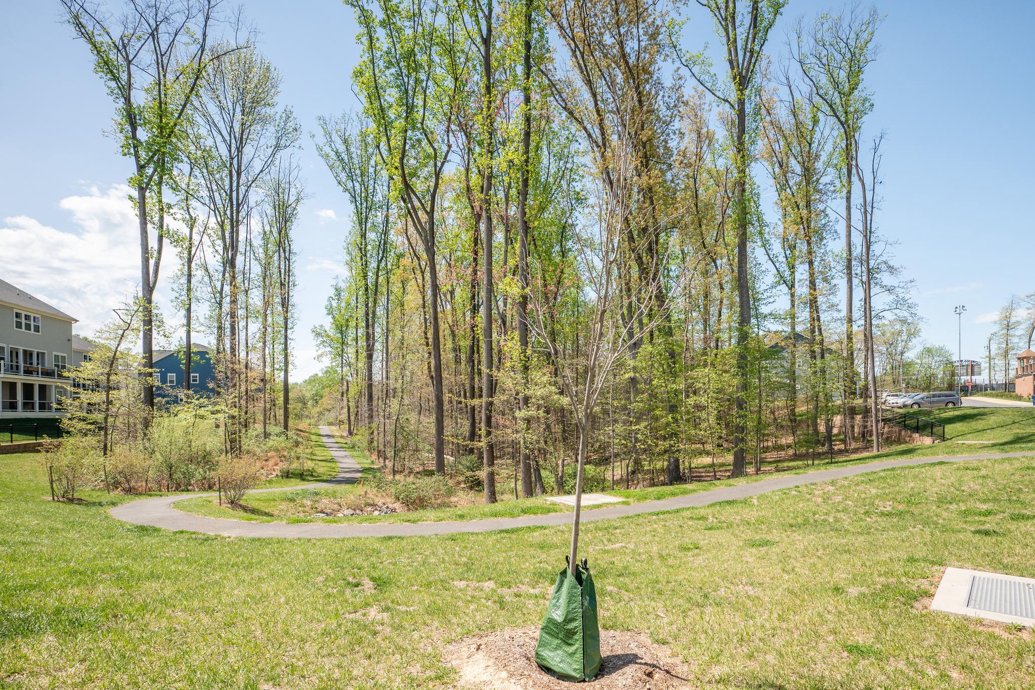 THE RESIDENCES AT MCCONNELL MANOR - Residential