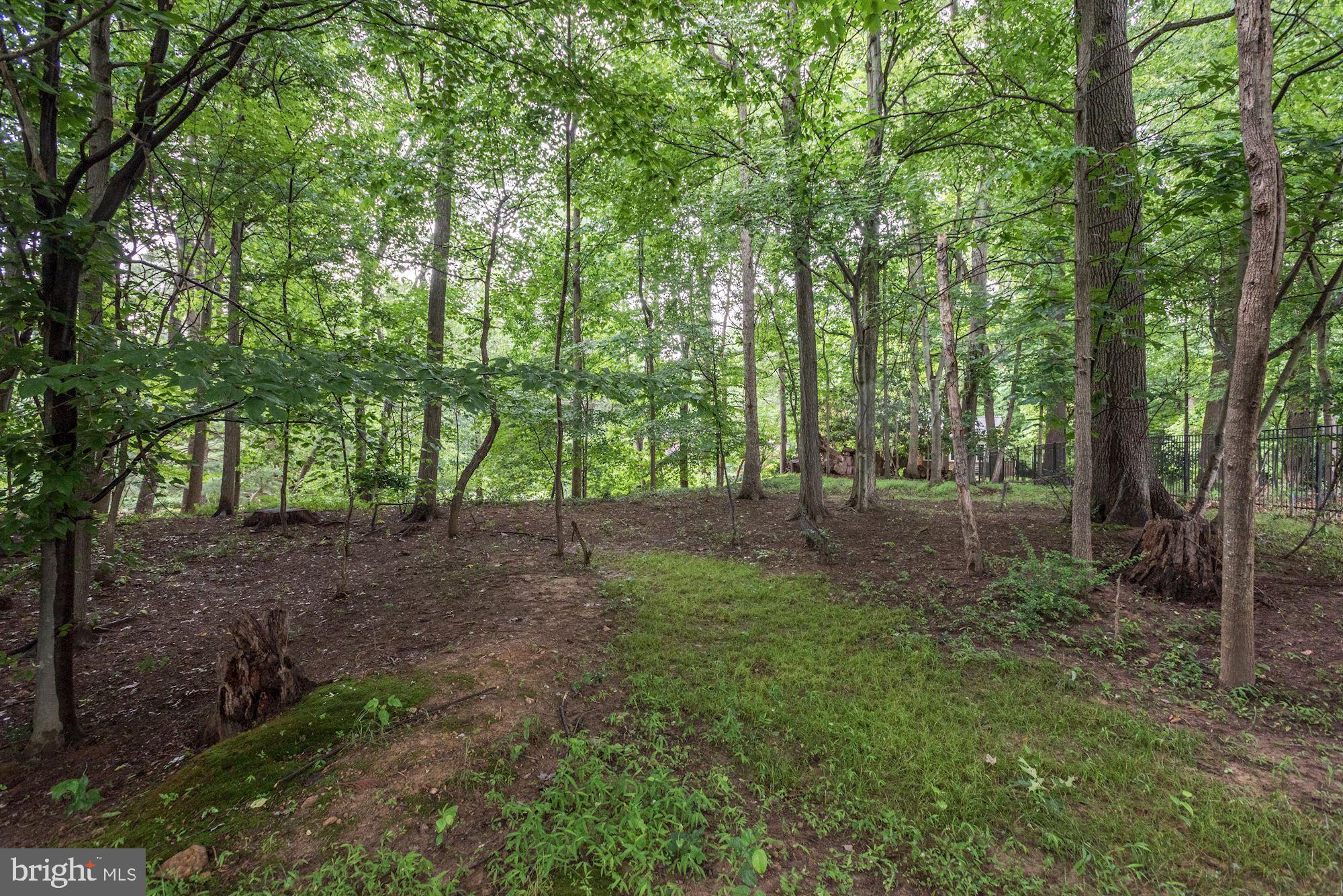 GARFIELD PARK - Residential