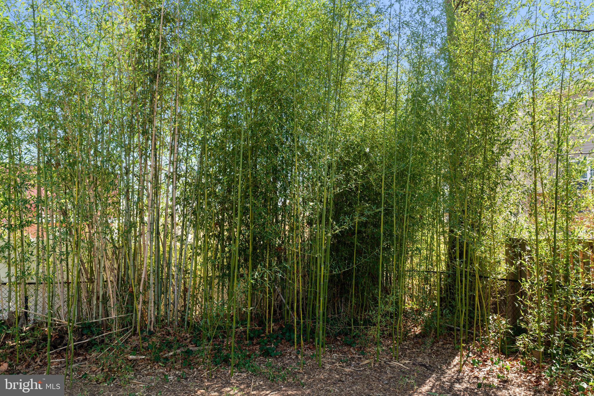 LYNWOOD - Residential