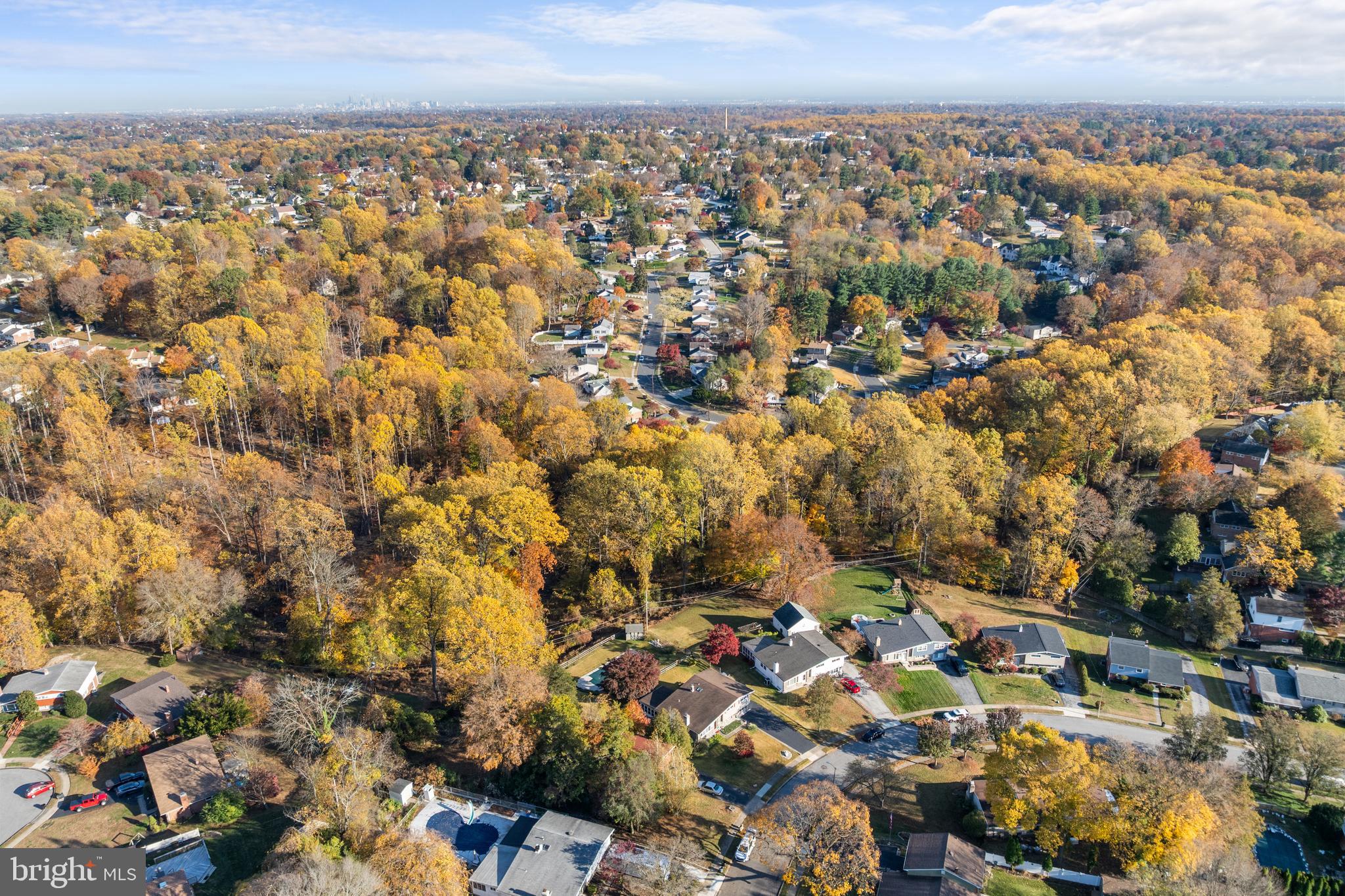 ROSE TREE WOODS - Residential