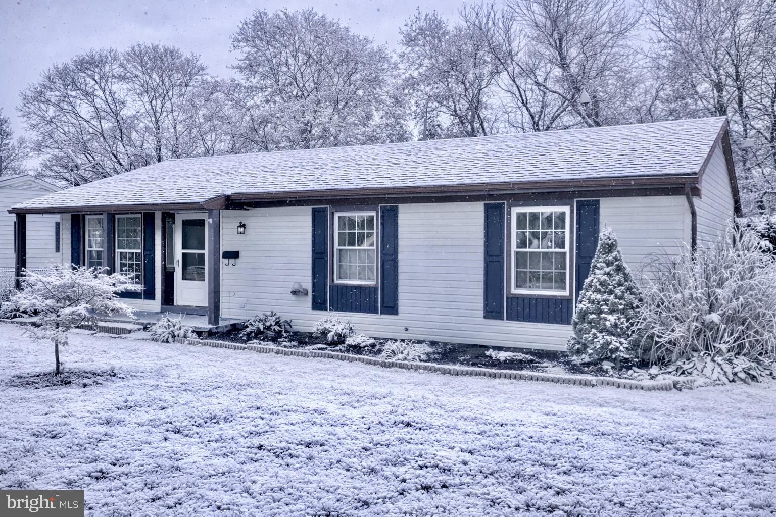 1008 CLEMATIS STREET