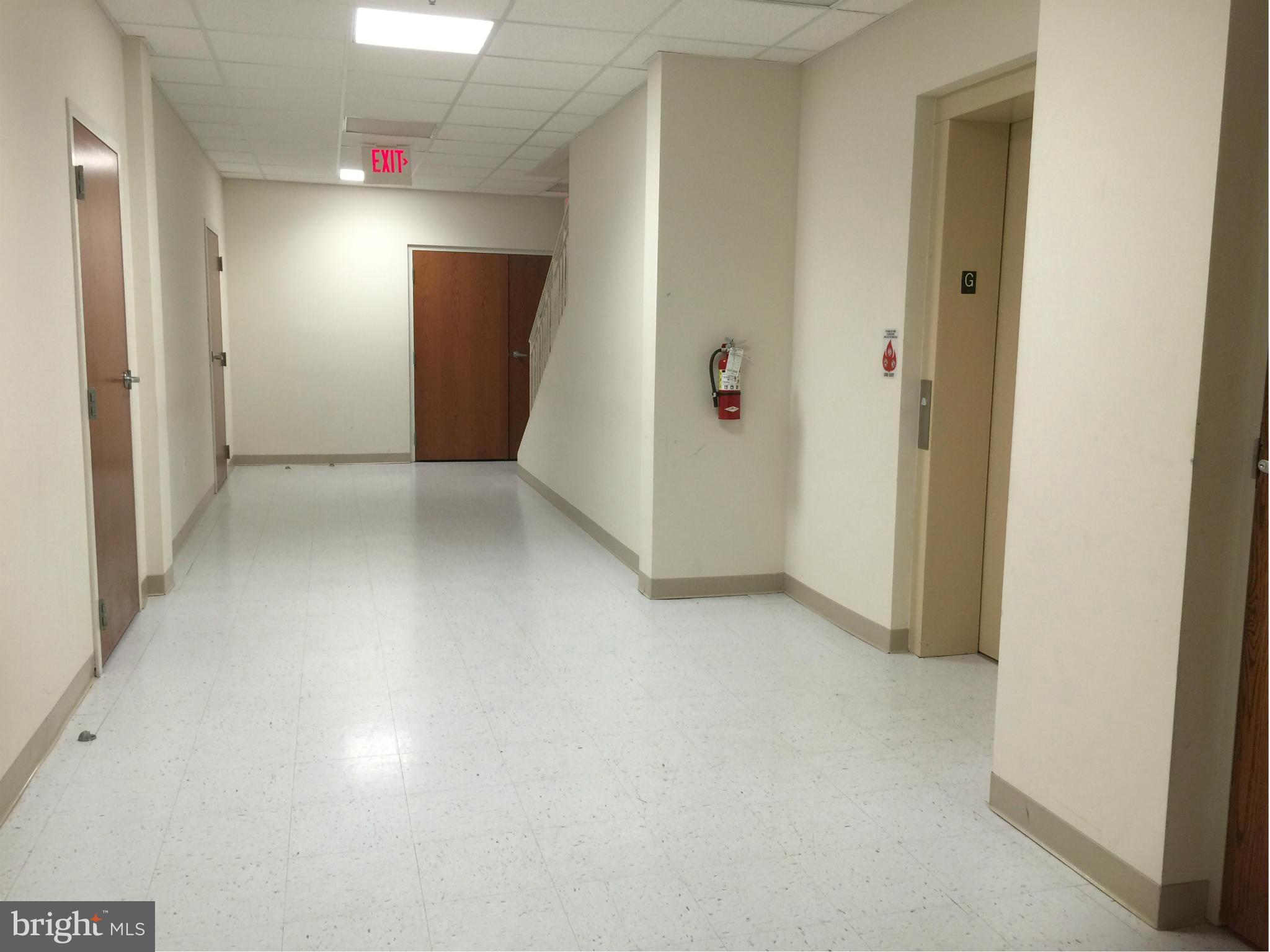 FOREST VIEW - Commercial Sale