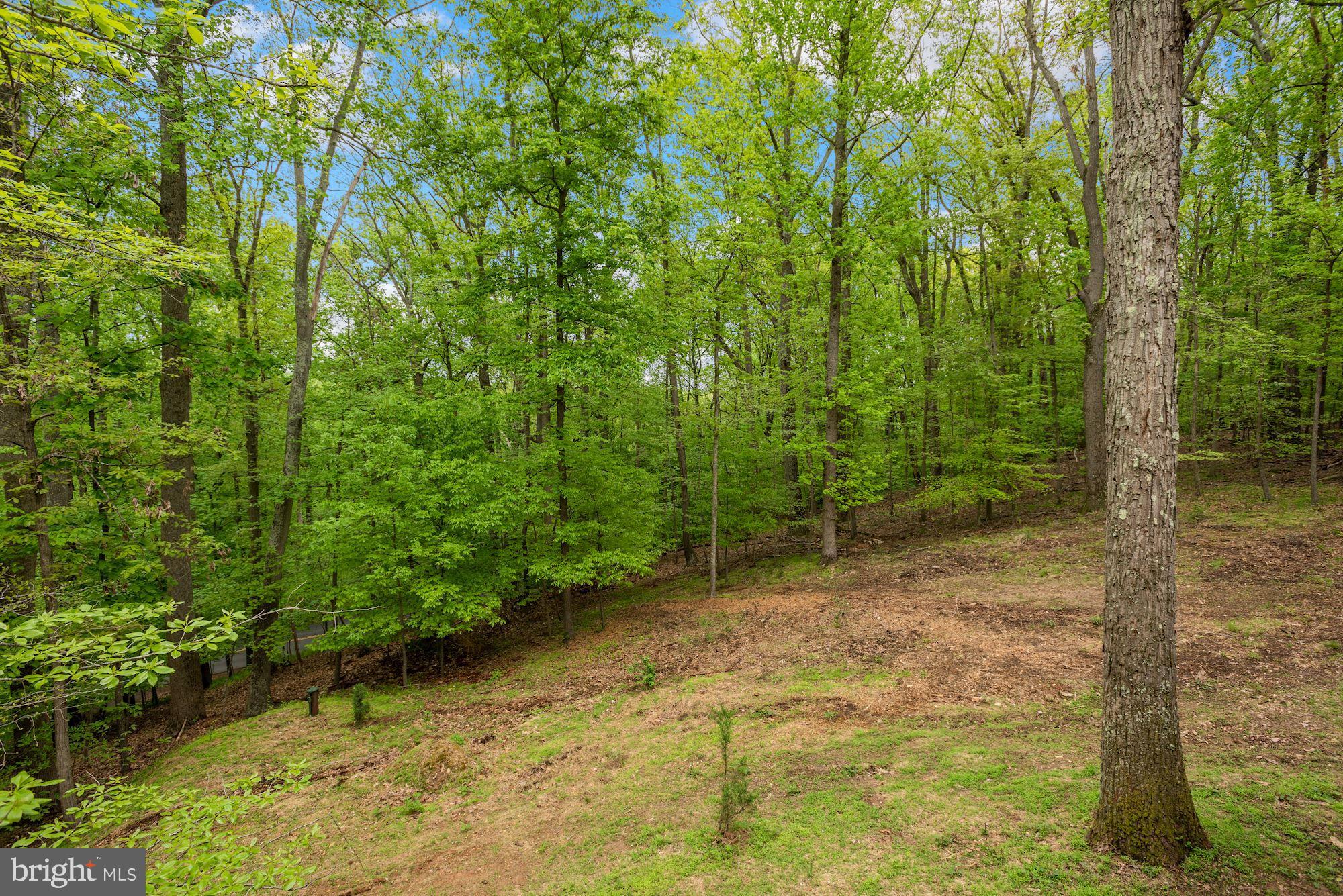 POTOMAC RIDGE ESTATES - Residential