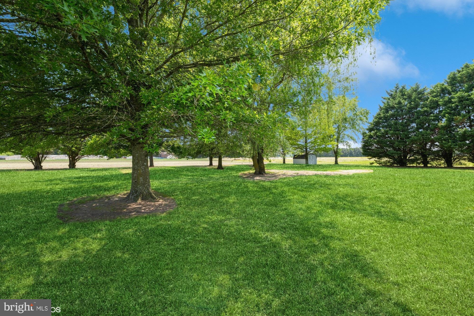 MAPLEWOOD - Residential