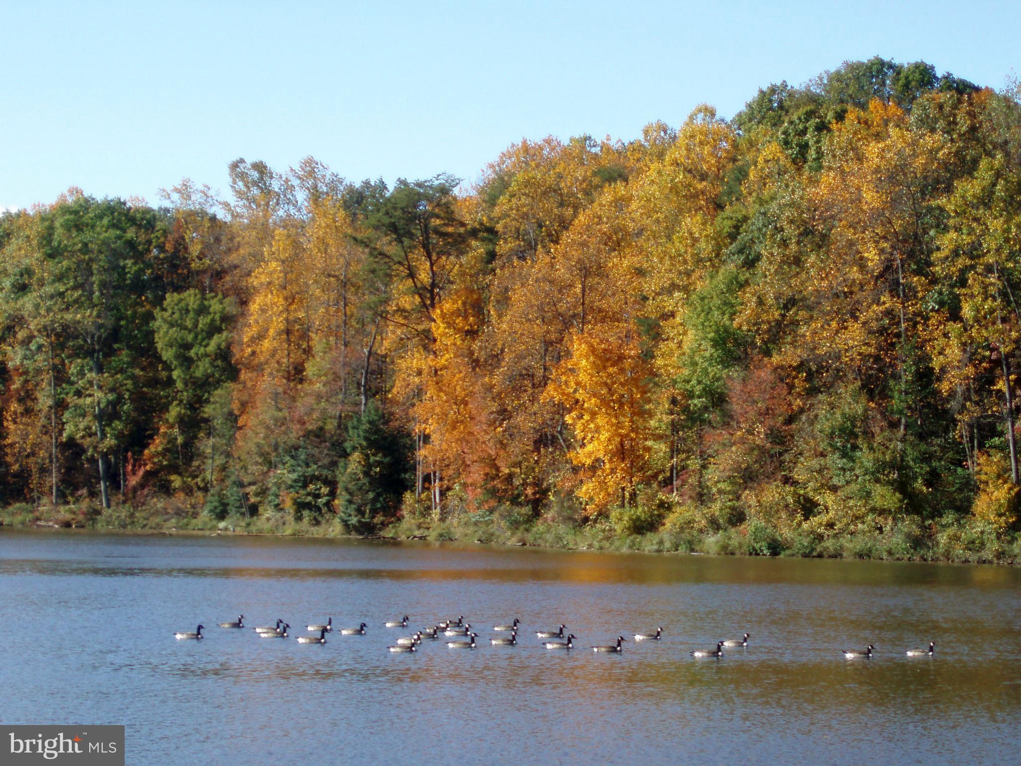 KINGS PARK WEST - Residential