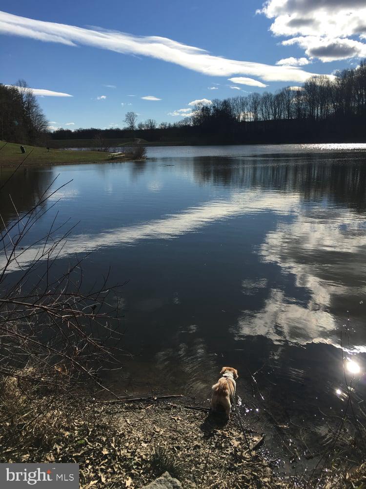 KINGS PARK WEST - Residential