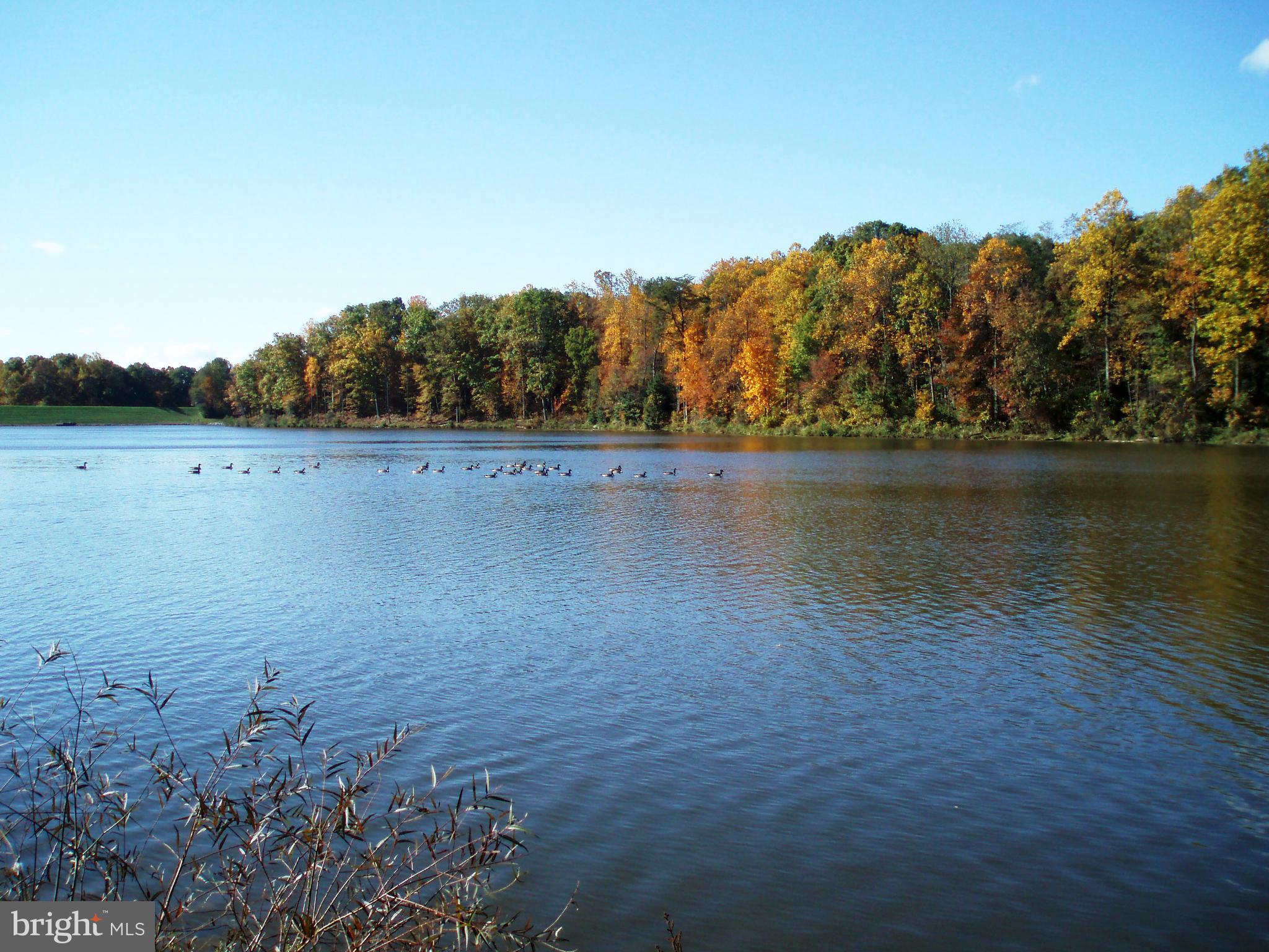 KINGS PARK WEST - Residential