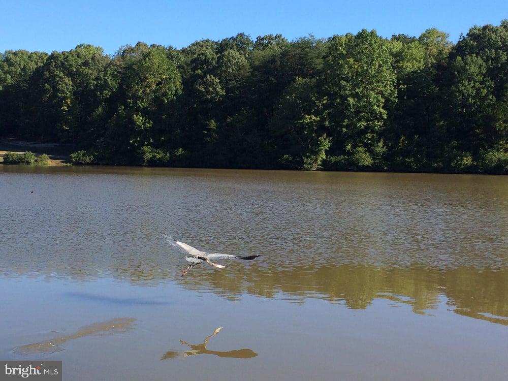 KINGS PARK WEST - Residential