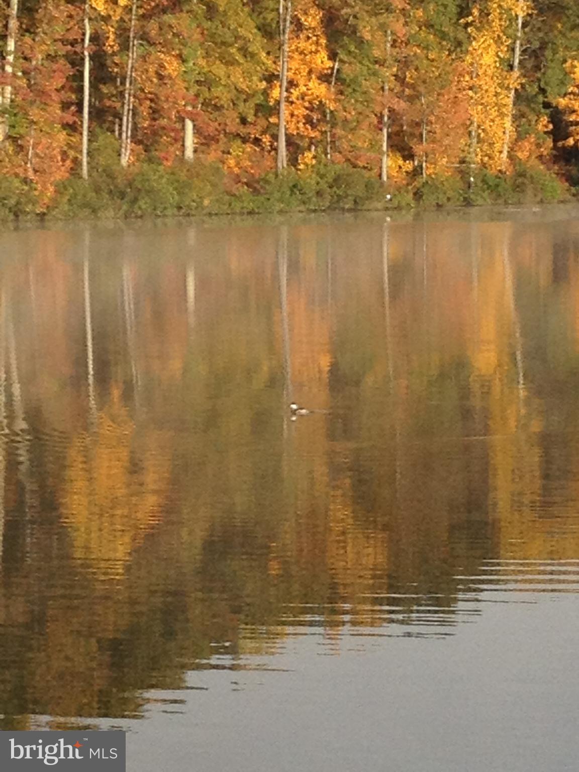 KINGS PARK WEST - Residential