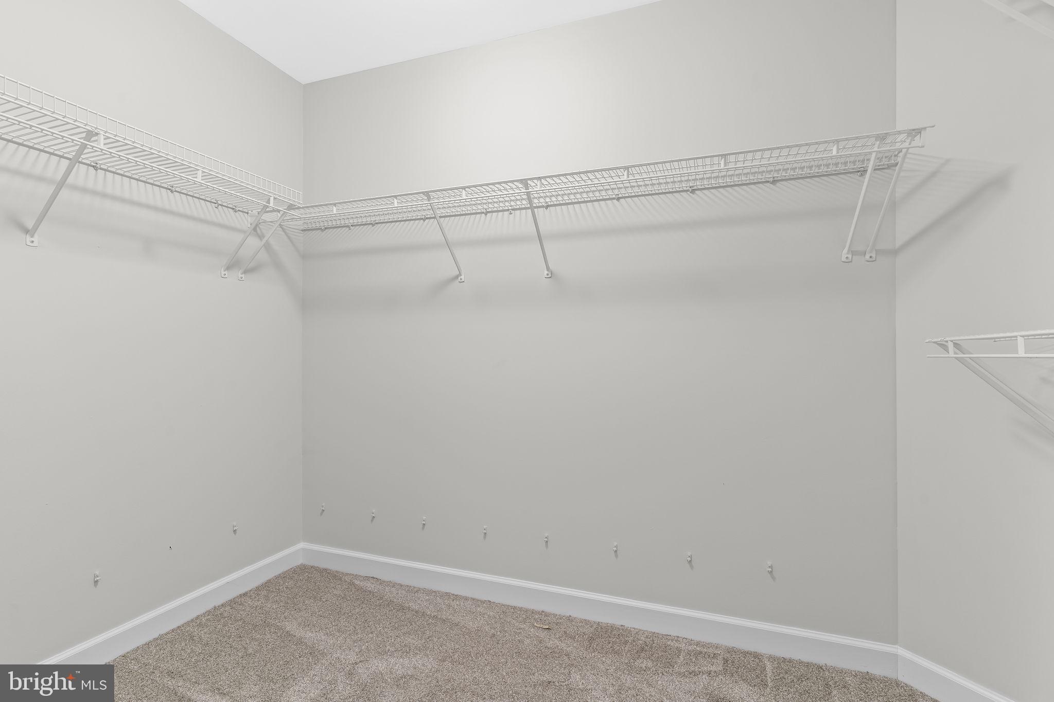 PLUM POINT WOODS - Residential