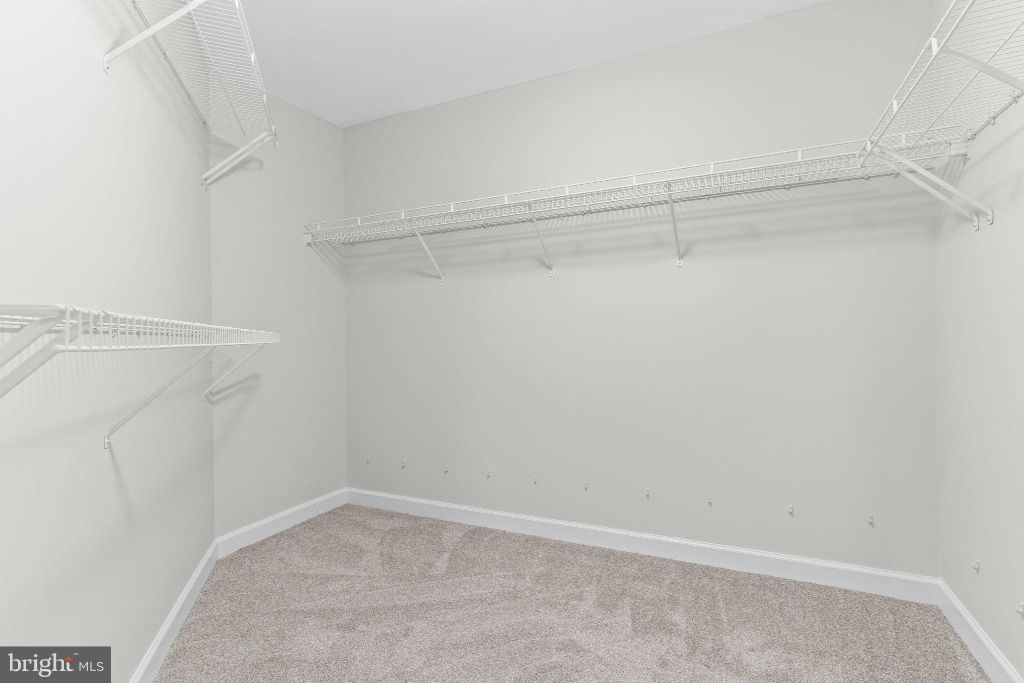 PLUM POINT WOODS - Residential