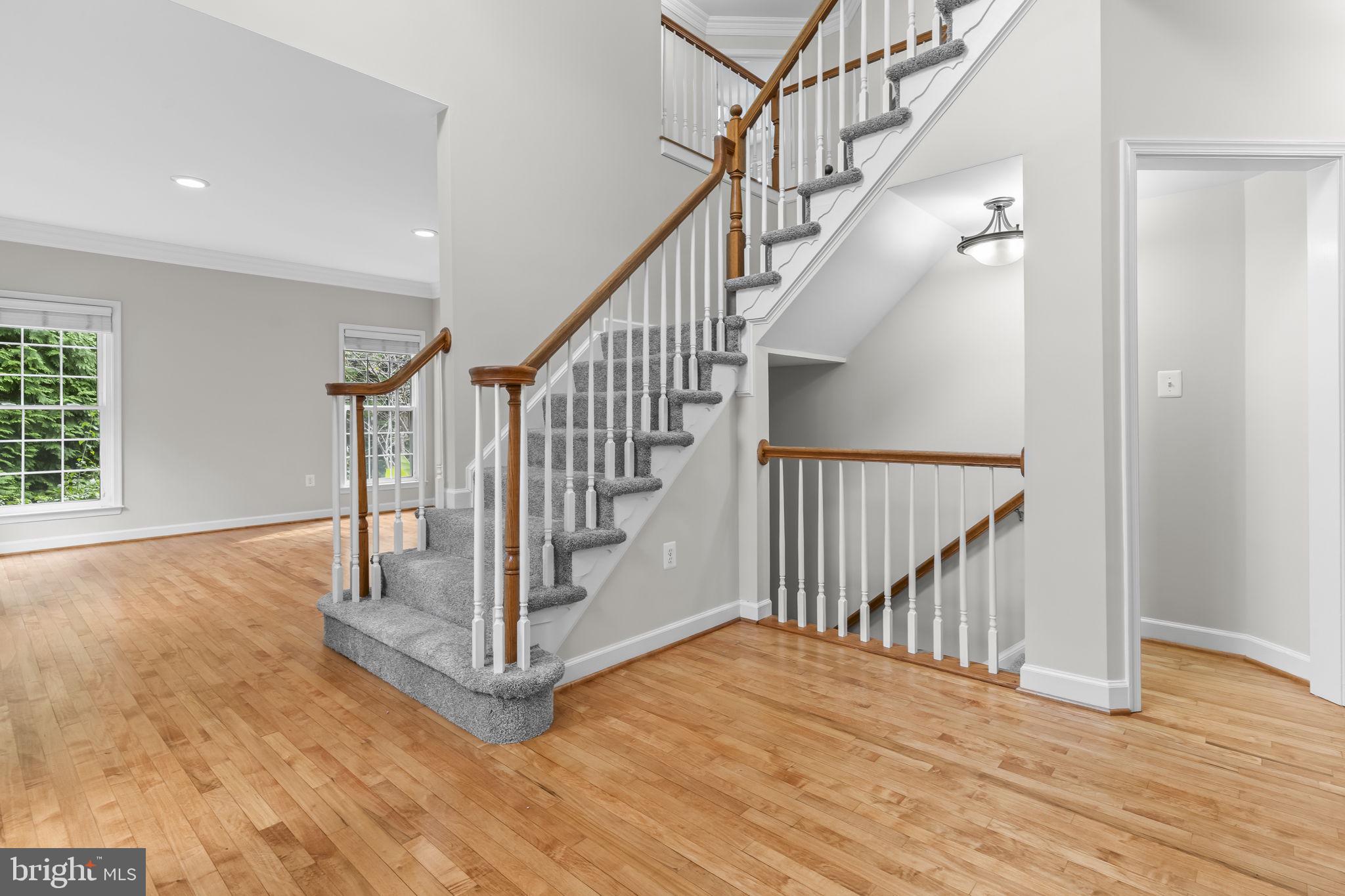 PLUM POINT WOODS - Residential